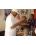 Familyby