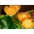 Acces Spa et massage a la bougie - Romainville