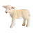 Agneau Debout