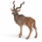 Antilope koudou