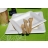 Assiette biodégradable canne à sucre blanche carrée 20cm (x6)