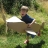 Avion en carton