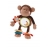 Basile actisinge Lilliputiens