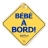 Bébé à bord