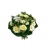 Bouquet Cancun