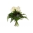 Bouquet de roses blanches