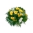 Bouquet Loustic