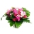 Bouquet Muse