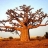 <a title='auriez-vous une idée cadeau pour la Saint-valentin ?' href='http://www.familyby.com/boutiques/index/7' style='text-decoration:none; color:#333'><strong>Cadeau</strong></a> solidaire : planter un arbre Baobab