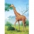 Castorland <a title='En savoir plus sur les puzzles' href='http://weezoom.tumblr.com/post/12566332776/puzzle-1000-pieces' style='text-decoration:none; color:#333' target='_blank'><strong>Puzzle</strong></a> 24 pièces - Girafe