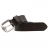 Ceinture Levi's Desafio Marron foncé