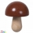 Champignon de la marchande Haba
