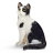 Chat Assis