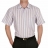 Chemise REPASSAGE FACILE manches courtes Parme rayée en coton