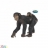 Chimpanzé une figurine Papo
