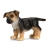 Chiot Berger Allemand