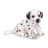 Chiot Dalmatien Assis