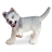 Chiot Husky