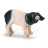 Cochonnet de Souabe