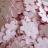 Confetti recyclé à planter 'Pétale rose'