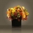 Créateurs de<a title='bouquet de fleurs pour la saint-valentin' href='http://www.familyby.com/boutiques/detailCategorie/4211' style='text-decoration:none; color:#333'><strong> fleurs</strong></a> paris Bouquet Orangeade