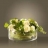 Créateurs de<a title='bouquet de fleurs pour la saint-valentin' href='http://www.familyby.com/boutiques/detailCategorie/4211' style='text-decoration:none; color:#333'><strong> fleurs</strong></a> paris Bouquet Zen Beaucoup