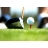 Découverte du golf Missillac