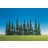 Faller Modélisme accessoires de décor H0 - Végétation - Arbres : 15 sapins