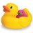 Famille canard