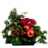 Fleurs déco pour les <a title='Saint-valentin, fêtes des amoureux' href='http://www.familyby.com/boutiques/index/7' style='text-decoration:none; color:#333'><strong>fêtes</strong></a>  Mini jardin Festivités