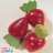 Fraise de la marchande Haba