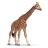 Girafe femelle