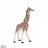 Girafon Papo