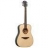 Guitare Acoustique GLA T111D-NT-G TRAMONTANE 111 Dreadnought Natural Top Gloss