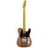 Guitare Electrique Telebration Old Growth Rosewood Telecaster 017-0142-721