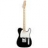 Guitare Electrique Telecaster Standard Black 014-5102-306