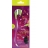 Herbin Herbin - Set stylo de <a title='Tout savoir sur la calligraphie' href='http://cadeau.familyby.com/post/13498485721/la-calligraphie-une-plume-de-lencre-et-vous' style='text-decoration:none; color:#333' target='_blank'><strong>calligraphie</strong></a> avec cartouches assorties