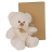 Histoire d'Ours-Peluche Ours coton 20cm