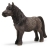 Hongre Poney Shetland