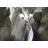 Initiation au canyoning