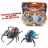 Insectes Battling Bugs Blister Combat