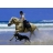 Journée à cheval