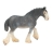 Jument Clydesdale