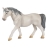 Jument Lipizzan
