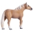 Jument Palomino