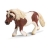 Jument Poney Shetland