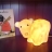 Lampe ours polaire ERNEST egmont toys