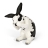 Lapin Faisant Sa Toilette
