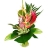 Le <a title='bouquet pour la saint-valentin' href='http://www.familyby.com/boutiques/detailCategorie/4211' style='text-decoration:none; color:#333'><strong>bouquet</strong></a> Exotique
