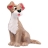 Les 101 Dalmatiens-Figurine Le Clochard